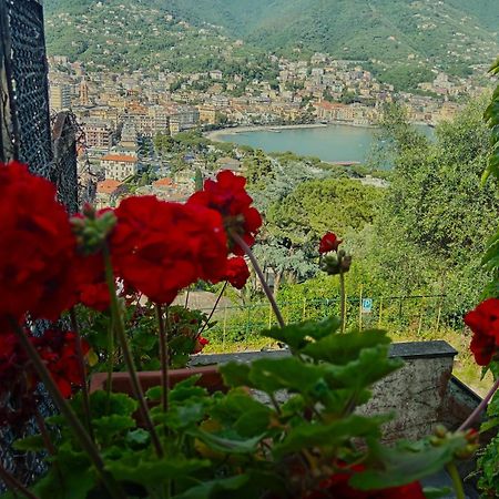 Sunrise Villa Rapallo Buitenkant foto